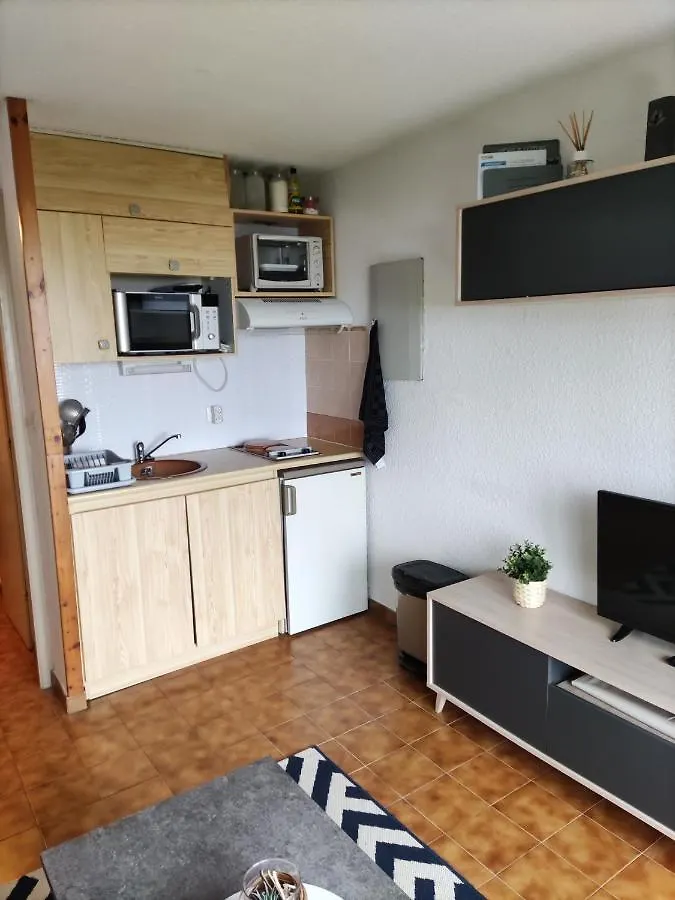 Charmant logement au pied des pistes de ski Thollon-les-Mémises 0*,